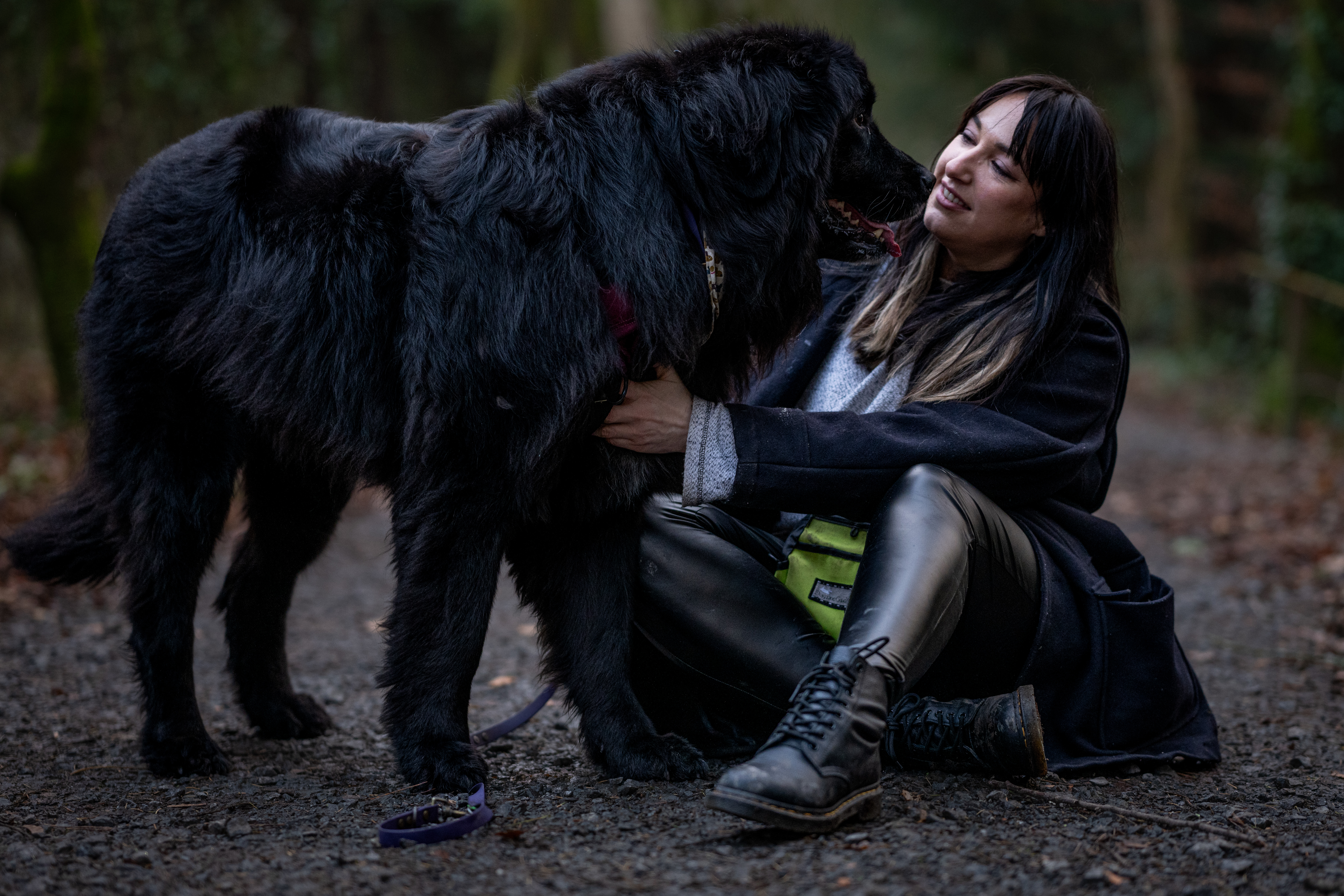 Suzy White, The Dog Centre