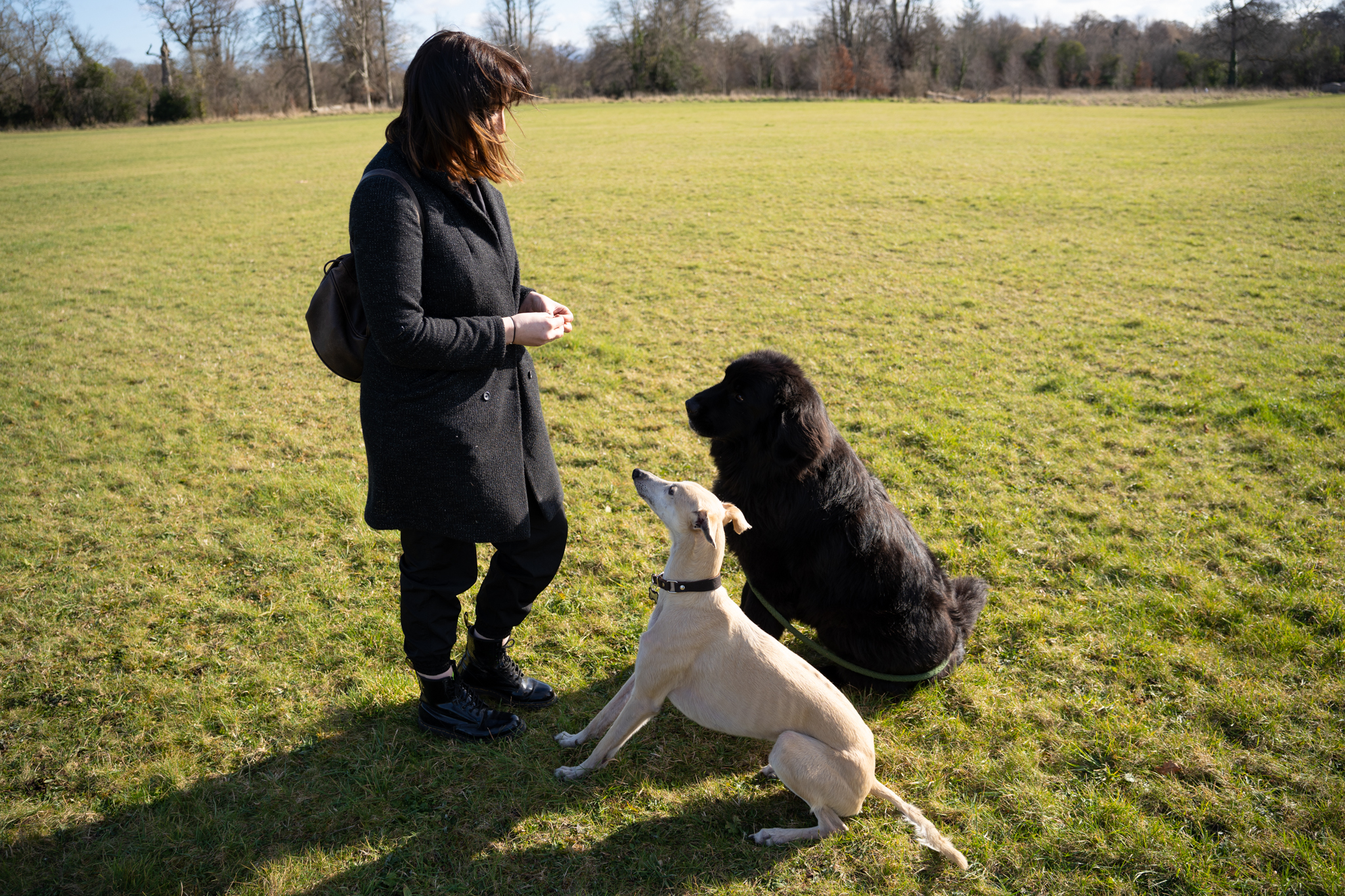 Suzy White, Certified Dog Behaviour Consultant at The Dog Centre